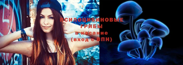 PSILOCYBIN Кукмор