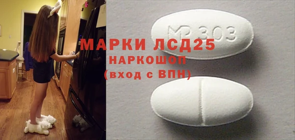 прущие грибы Аркадак