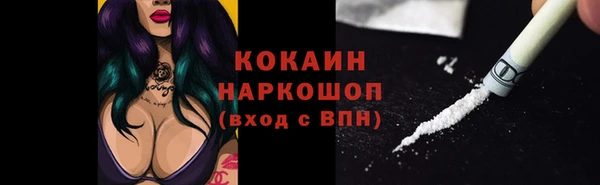прущие грибы Аркадак