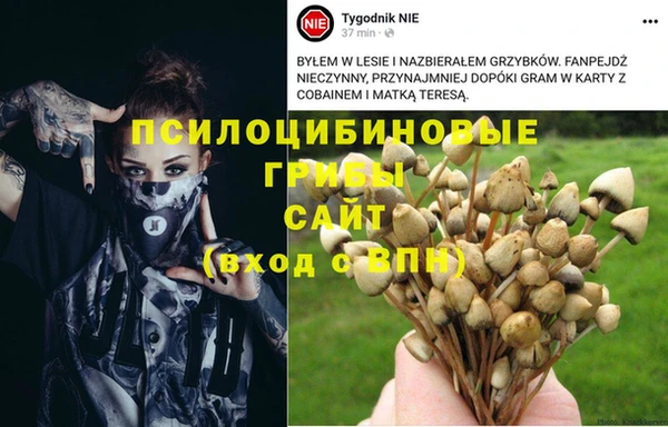 Альфа ПВП Арсеньев