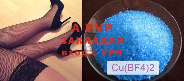прущие грибы Аркадак