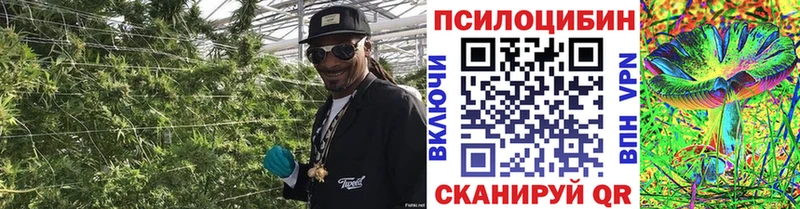 Галлюциногенные грибы ЛСД  Светлогорск 